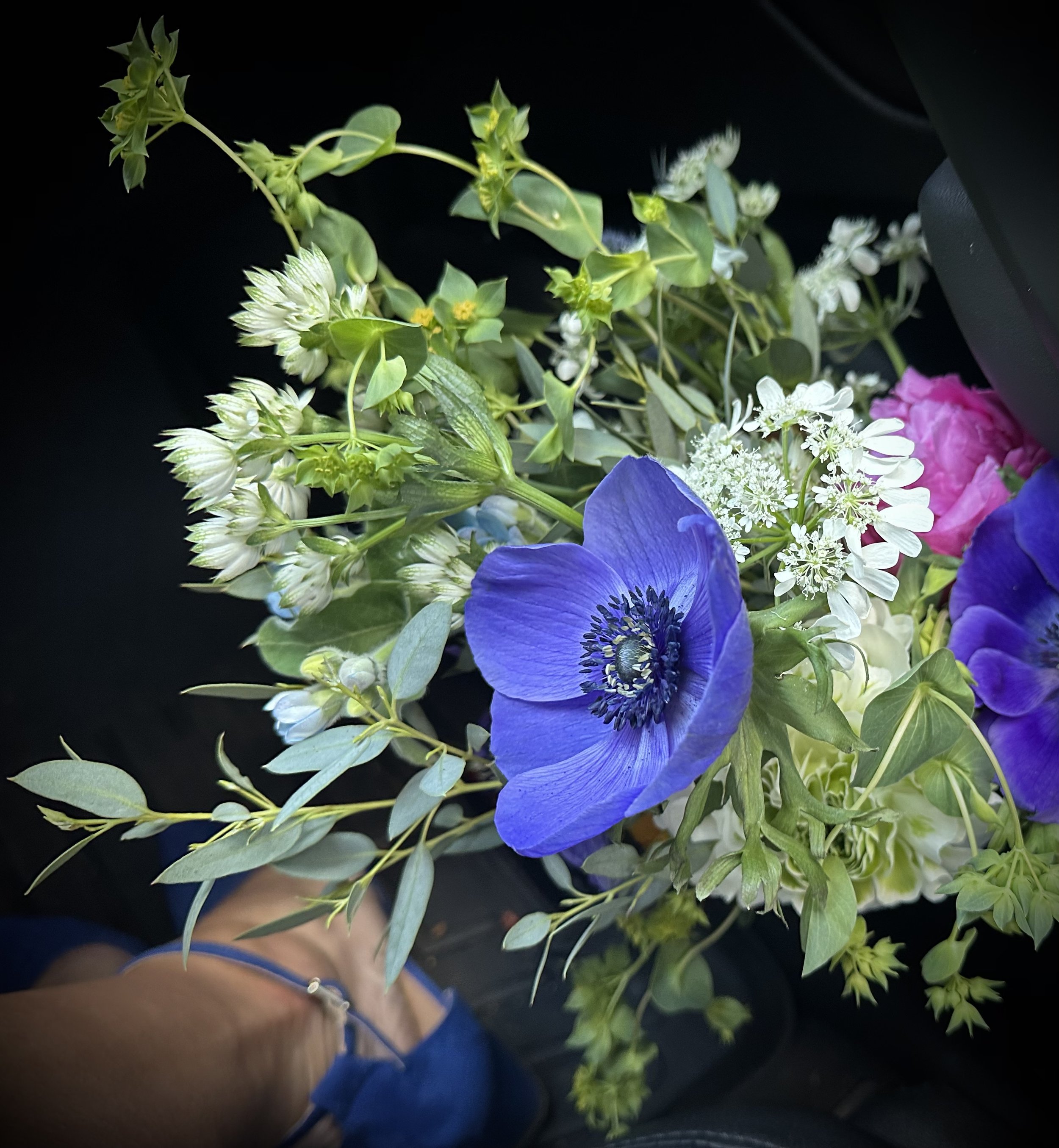 IMG_5170.jpeg