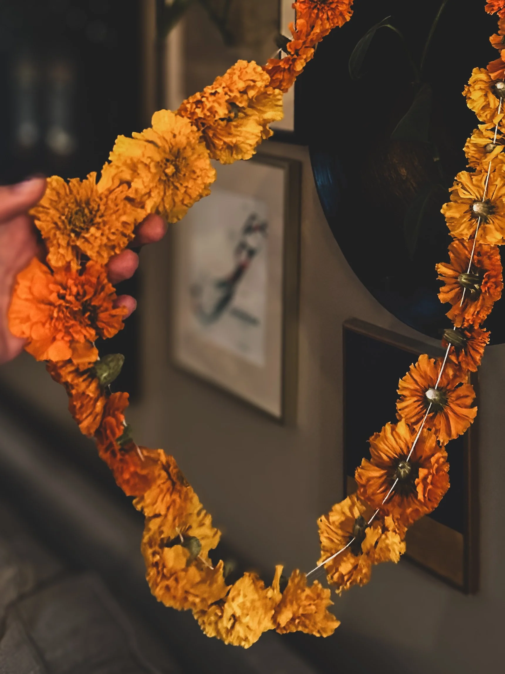 Hand-tied (dried) Marigold Garland - 6”
