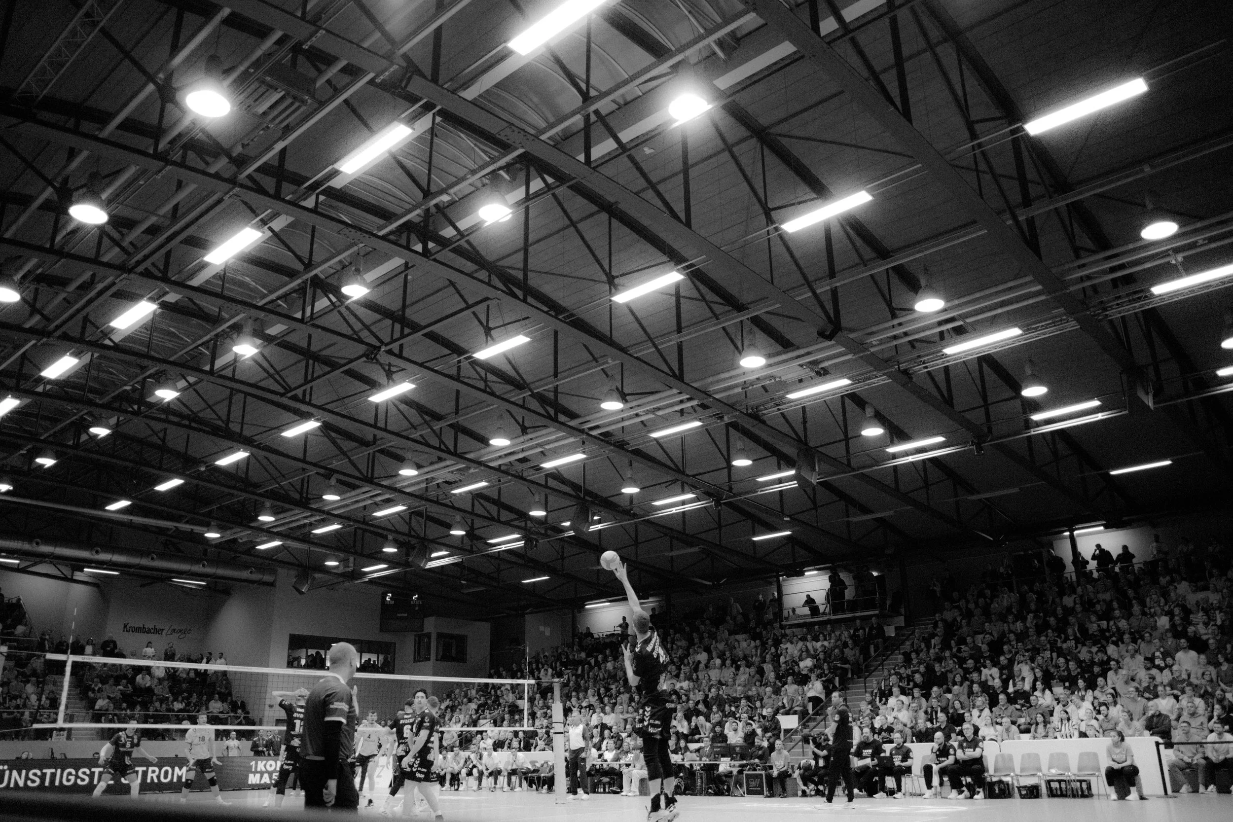 heliosgrizzlys-istanbul @stefkelens-35.jpg
