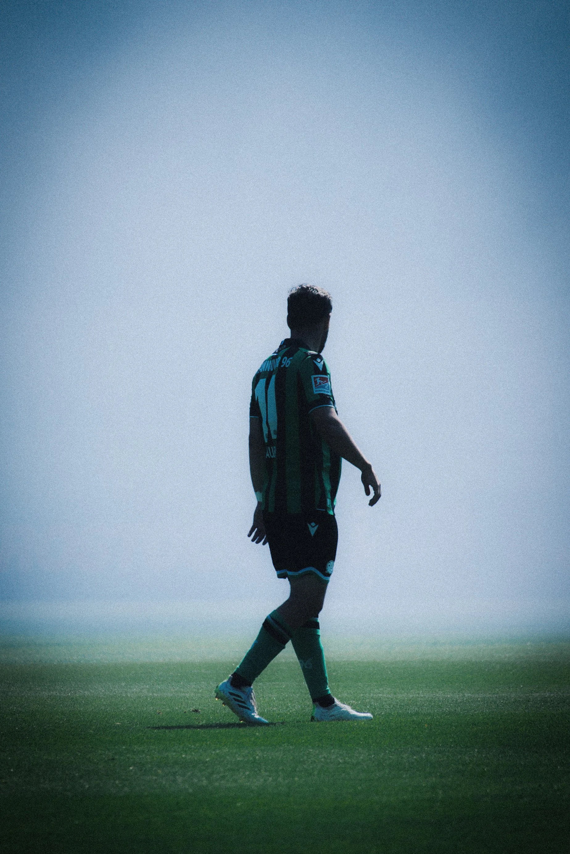 Louis Schaub Nebel