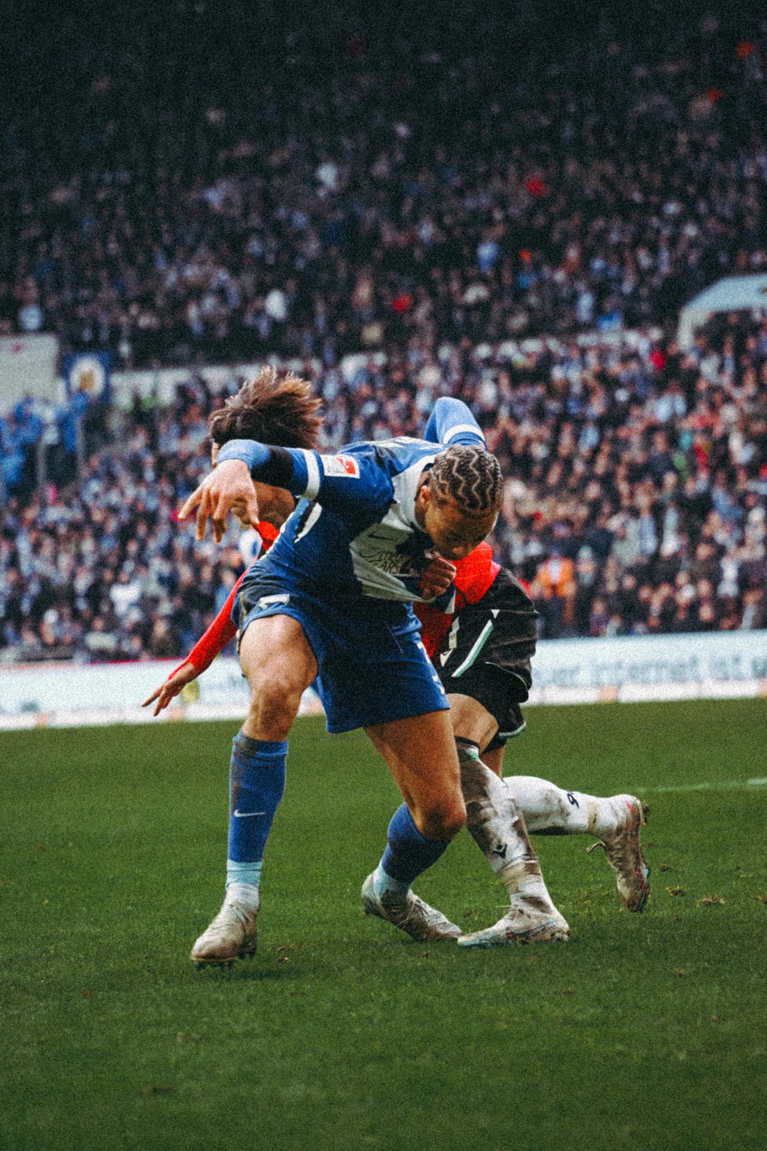 96-hertha @stefkelens-5.jpg