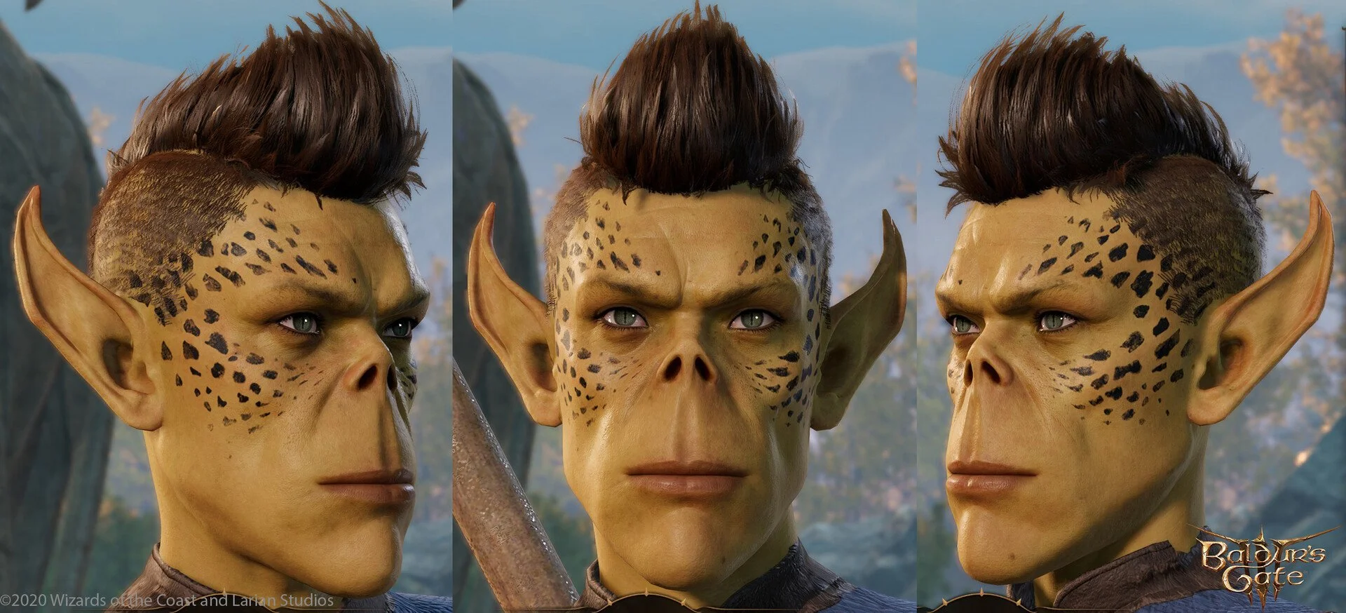 SphinxServices_BaldursGateIII (3).jpg