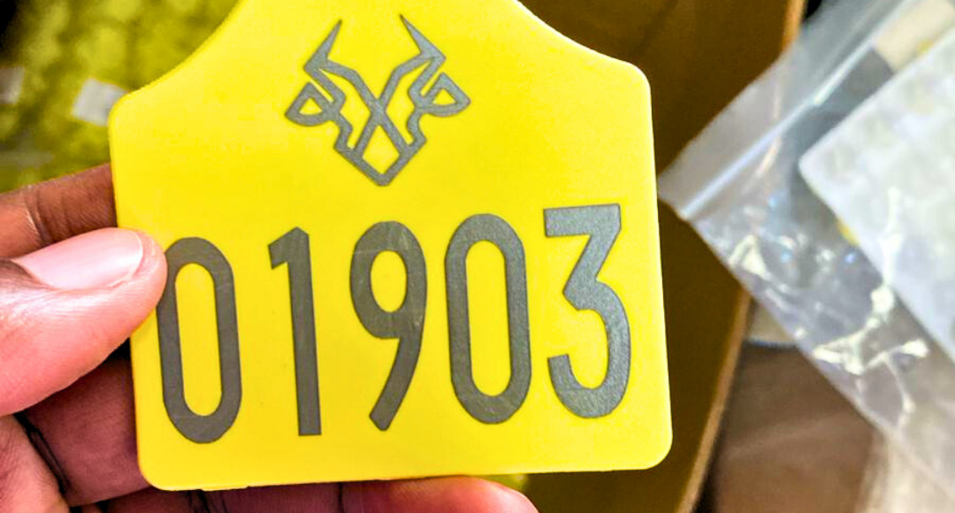 LiveStockEx bets on its feedlot programme to boost livestock production for Kenyan farmers