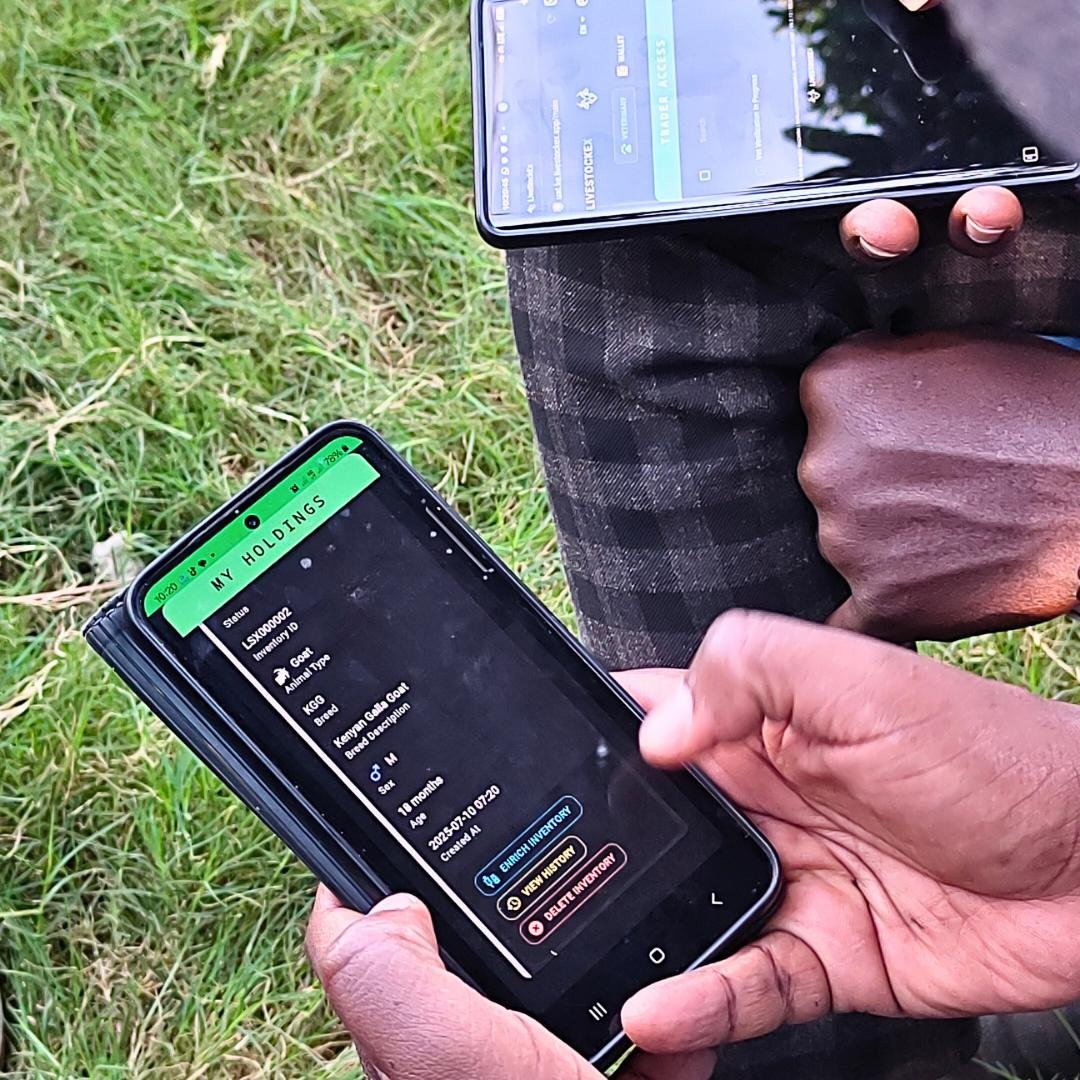 Livestock dealers urged to take advantage of Sh1.9T industry through digitisation