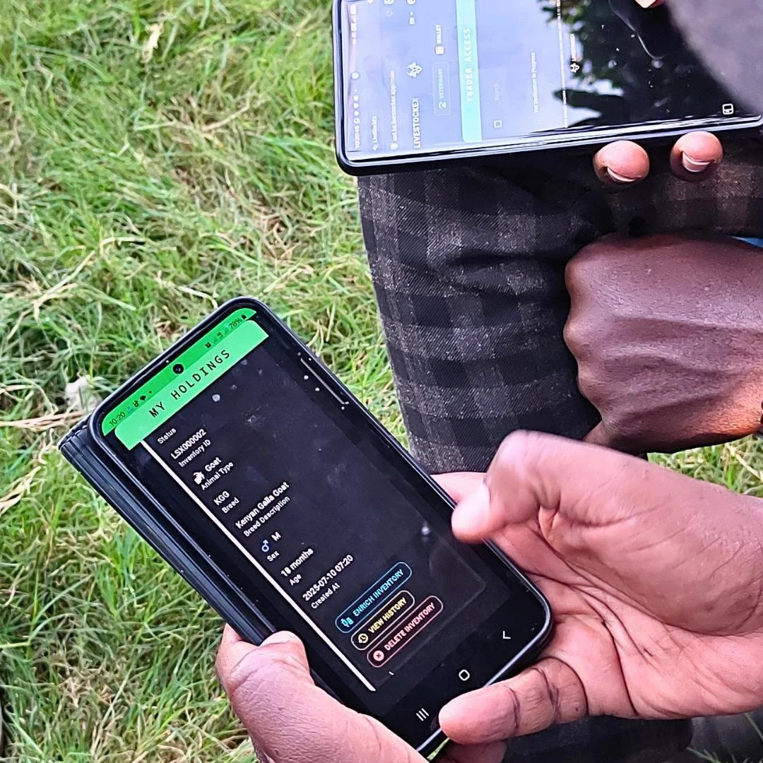 Livestock dealers urged to take advantage of Sh1.9T industry through digitisation