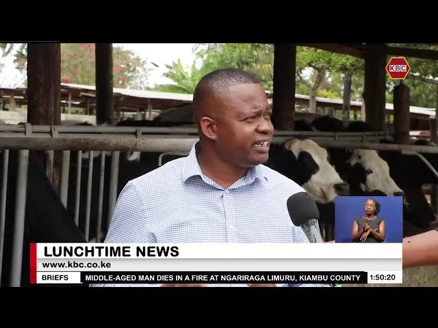 Livestock farmers receive boost with launch of a new mobile application