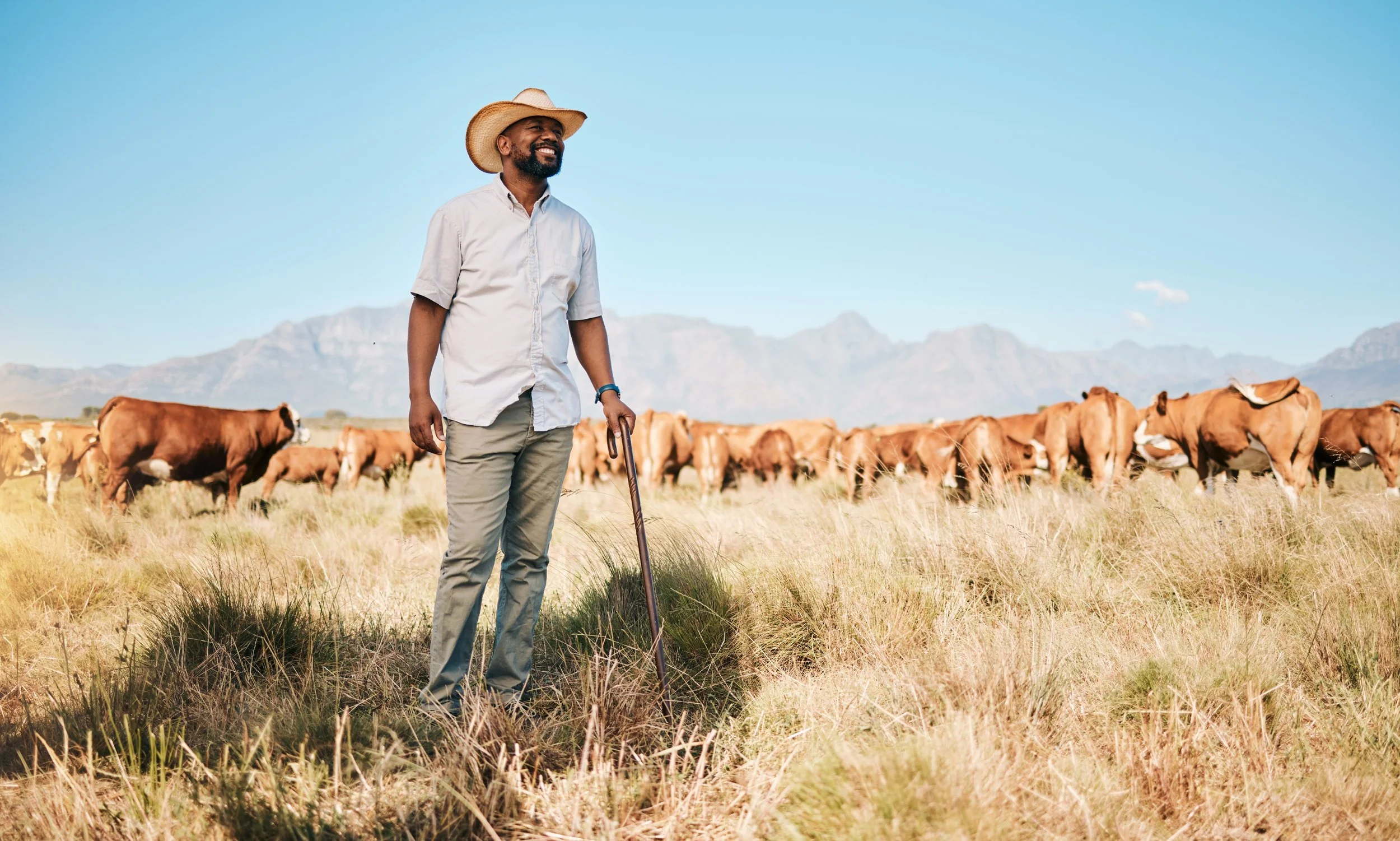 A man wearing a cowboy hat, light-colored shirt, and khaki pants standing in a grassy field with cattle, mountains in the background, during daytime.