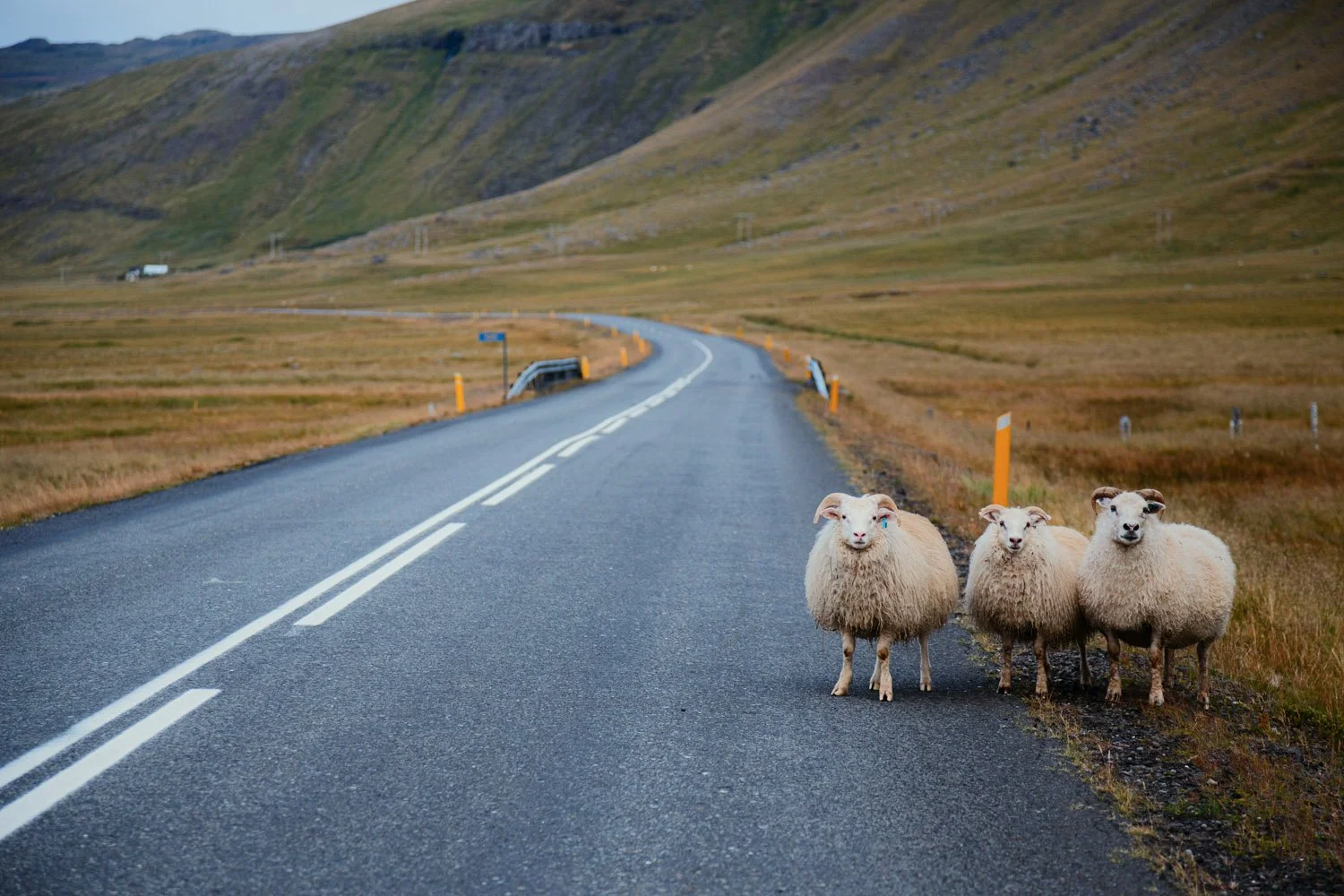 Iceland road