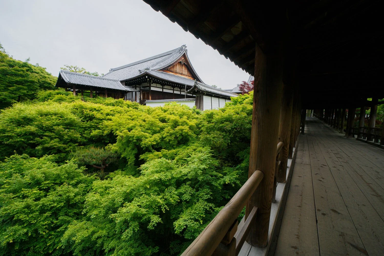 Kyoto shrine