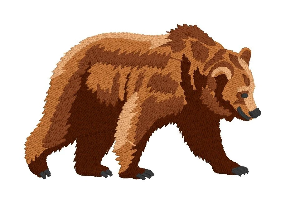 bear.jpg