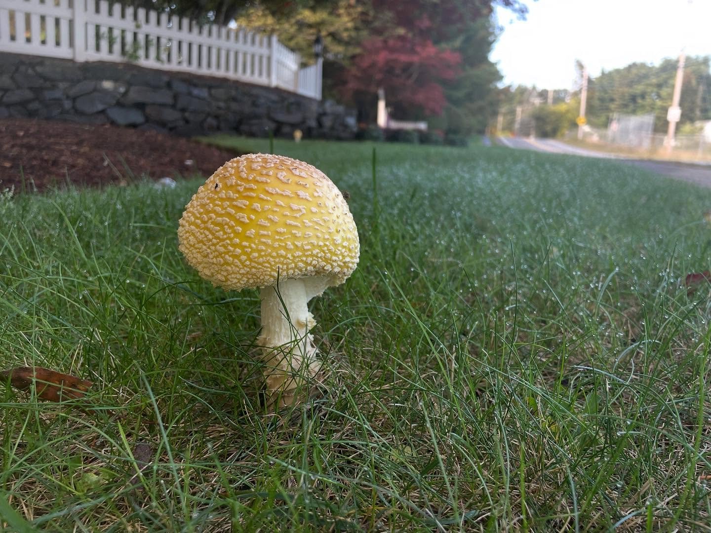 Sunday Run-day. On deck today was 18 miles, but capped it at 16 due to the summer heat 🥵 I love living here and the views that I get to see on my own 2 feet. 
Now it&rsquo;s time for coffee, painting and reading along with a reset for the week. 

#n