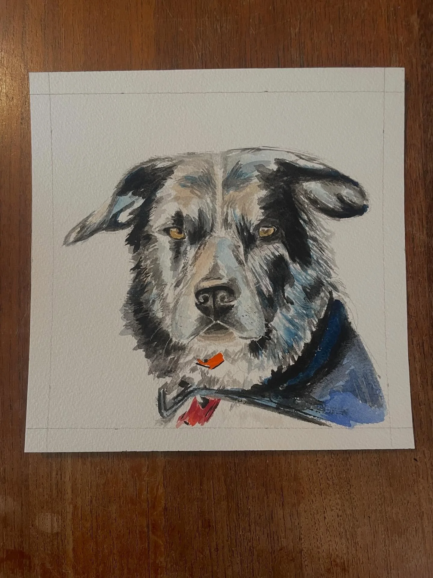 Love painting dogs 🎨🐶 

#watercolor #watercolorportrait #dogportrait #nh #nhartist