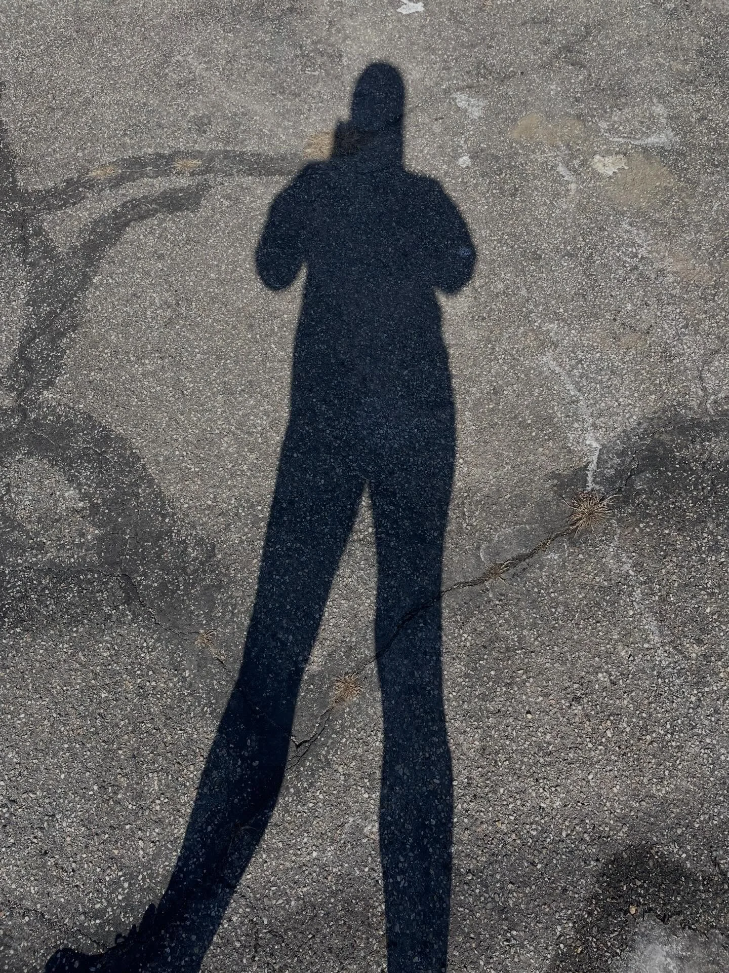 Run 11 
Scooted over to some neighborhoods that had clear and quiet roads. Slowly building in mileage, 7 weeks til Eastern States 20
🌞
#nashuanhrunner #nhrunner #longrun #weekendmiles #roadrunnergirl