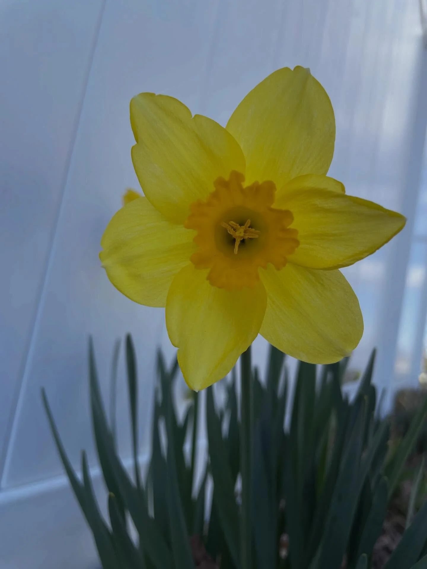 2:00 pm on a Saturday is not my usual running time, but with Lida working now, it&rsquo;s time to pivot and run when it best works to spend time with everyone.
🌞
It was a warm and windy 55*, and kept it at an easy pace, enjoying everything around me