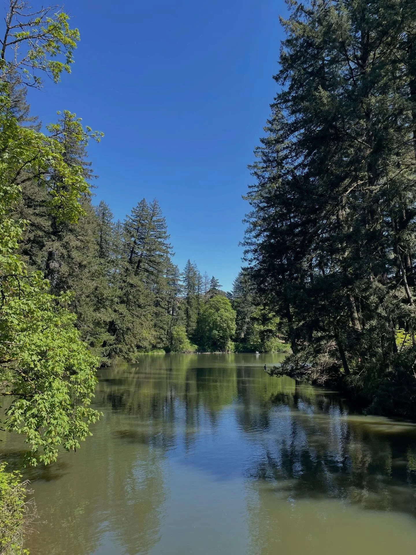 Spring break is the best. Just got back from a week long visit to Washington state, spending time with my sister and her family. 

Everything has popped over there and it was amazing to see. Of course this is just a sampling of the pics and memories 