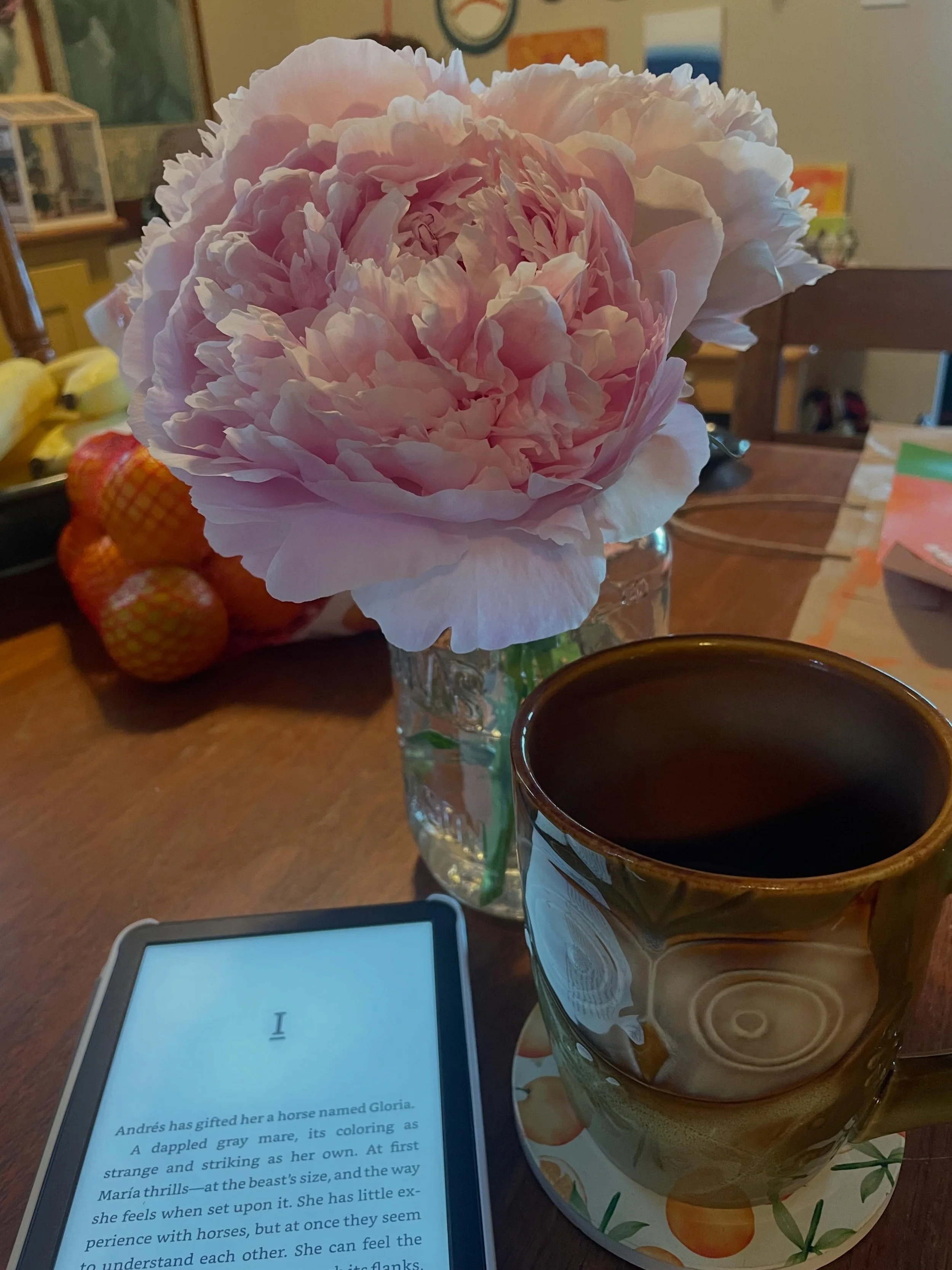 Today, Monday June 8. First peony blooms of the season. 🌸 Not a lot of art happening the past few weeks, as I wind down the school year. 
7.5 more school days, then all the 🎨☕️🏃🏻&zwj;♀️📚 will happen that I can manage 

#nhartist #artteacherlife 