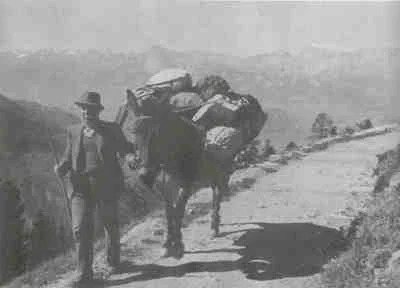 Un homme marchant à côté d'un cheval chargé de bagages sur un chemin de montagne, avec un paysage de montagnes en arrière-plan.