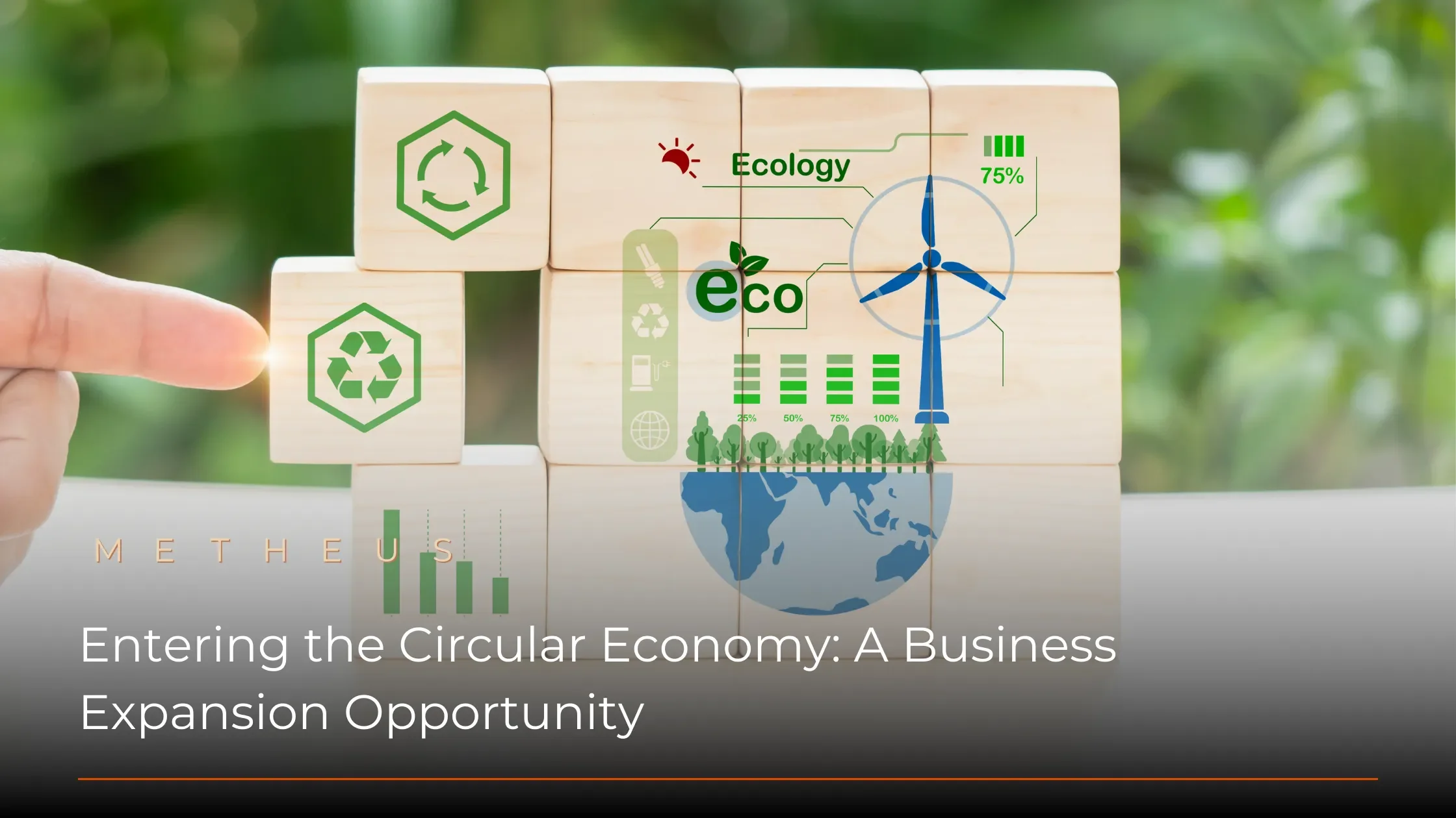 Entering the Circular Economy: A Business Expansion Opportunity