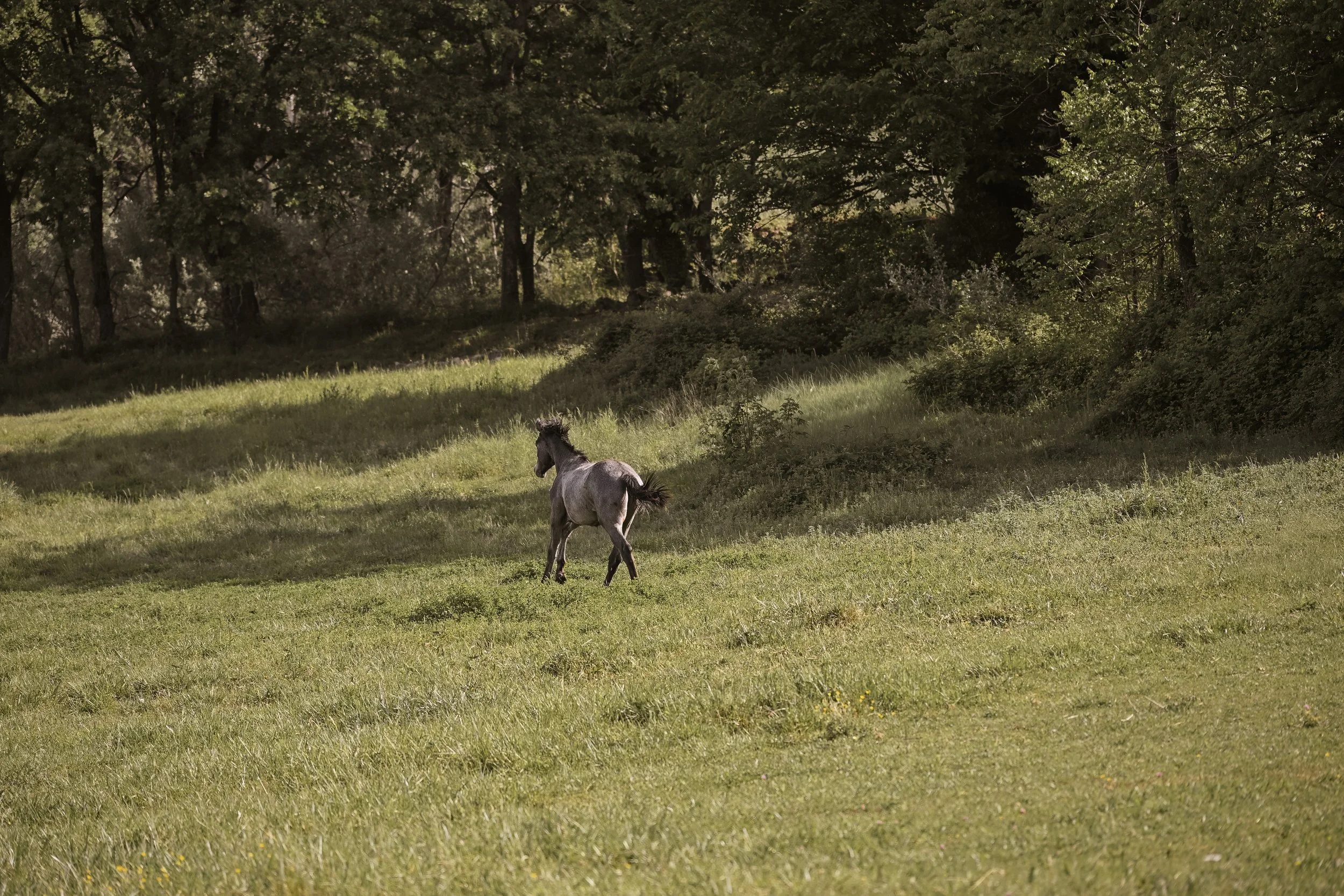 DSC_7562.jpg