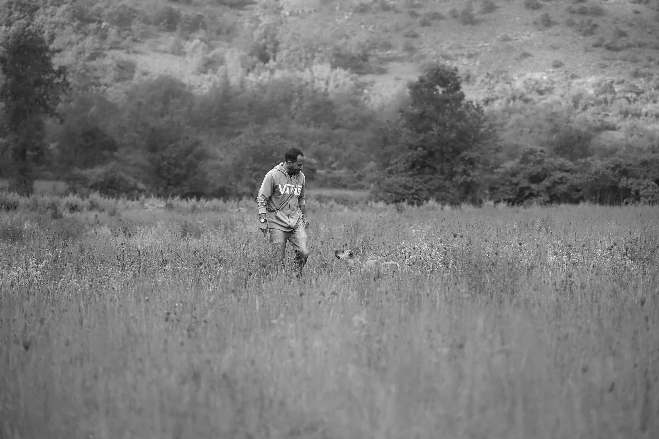 DSC_6385-2.jpg