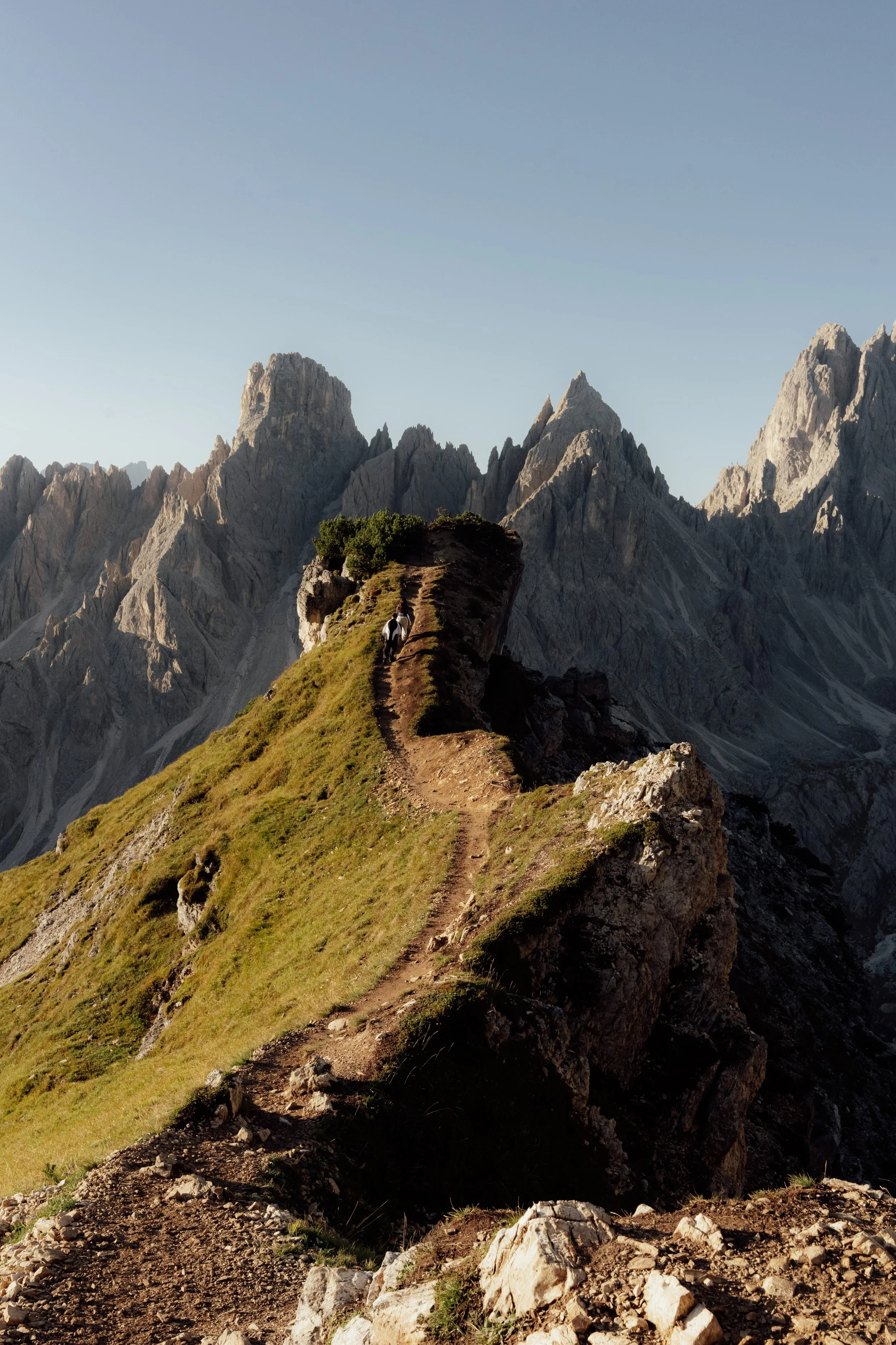 Panoramic view of the Cadini di Misurina peaks in the early morning light in the Italian Dolomites.