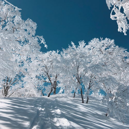 Tahl Rinsky Retreat Nozawa Onsen, Japan (6).png