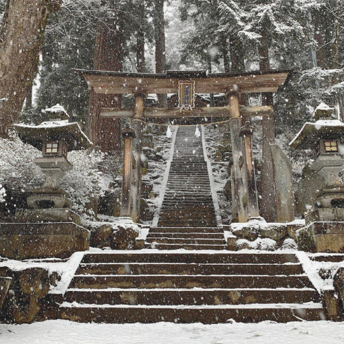 Tahl Rinsky Retreat Nozawa Onsen, Japan (8).png