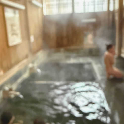 Tahl Rinsky Retreat Nozawa Onsen, Japan (9).png