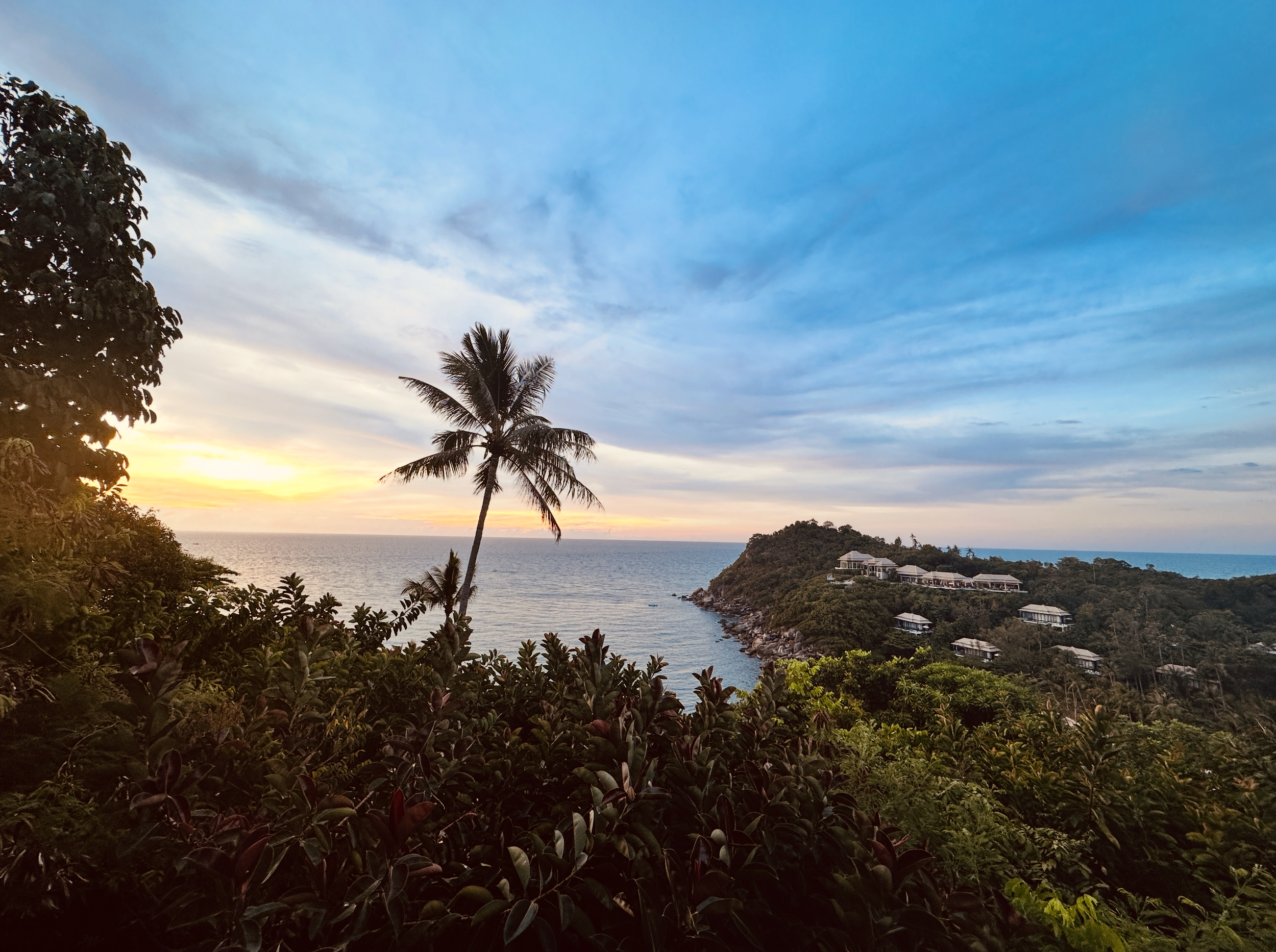 Tropical coastal scene at sunset with palm trees, lush green foliage in the foreground, a hillside with houses, and a calm ocean under a partly cloudy sky.