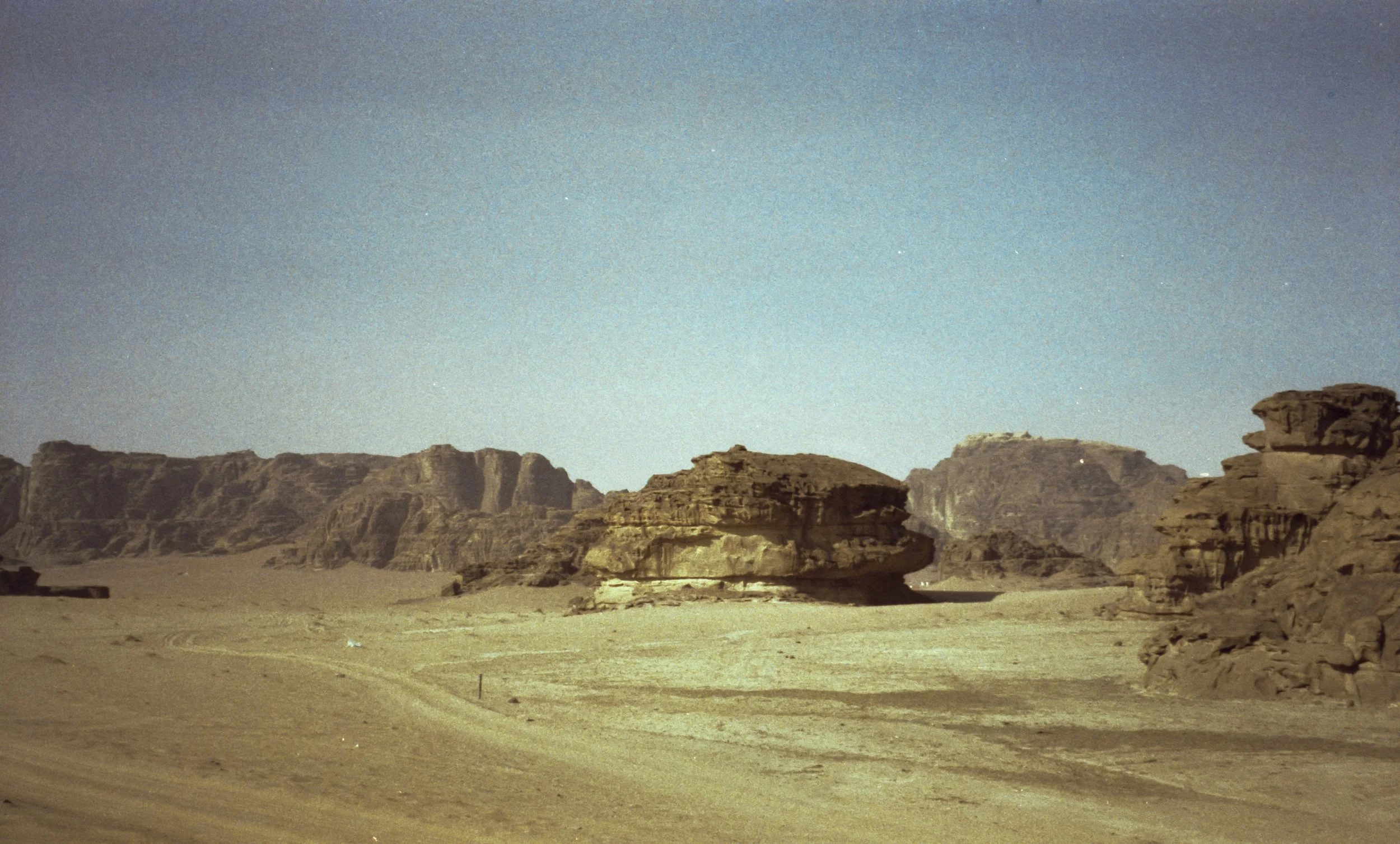 img20260116_16473478.jpg