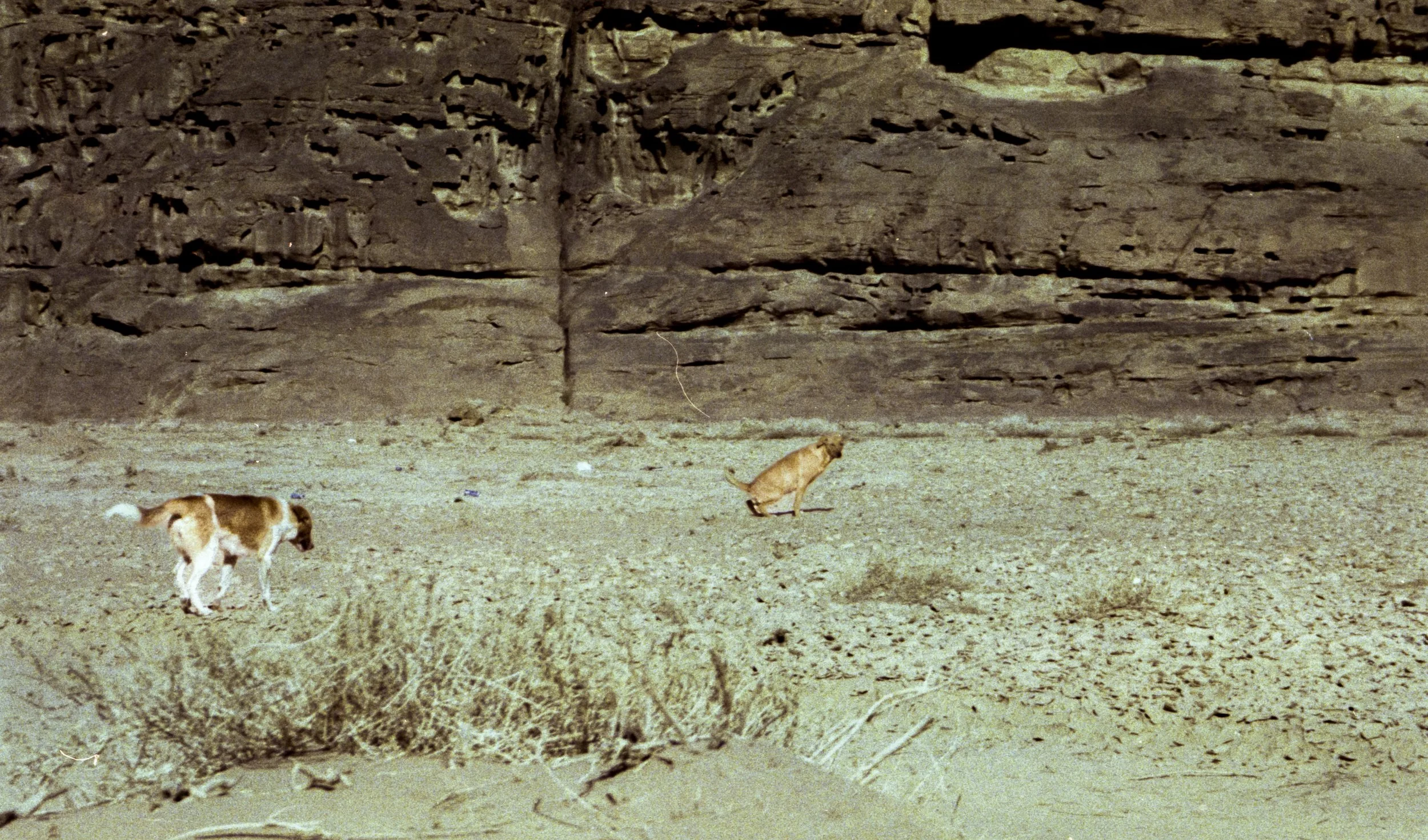 img20260116_16391532.jpg