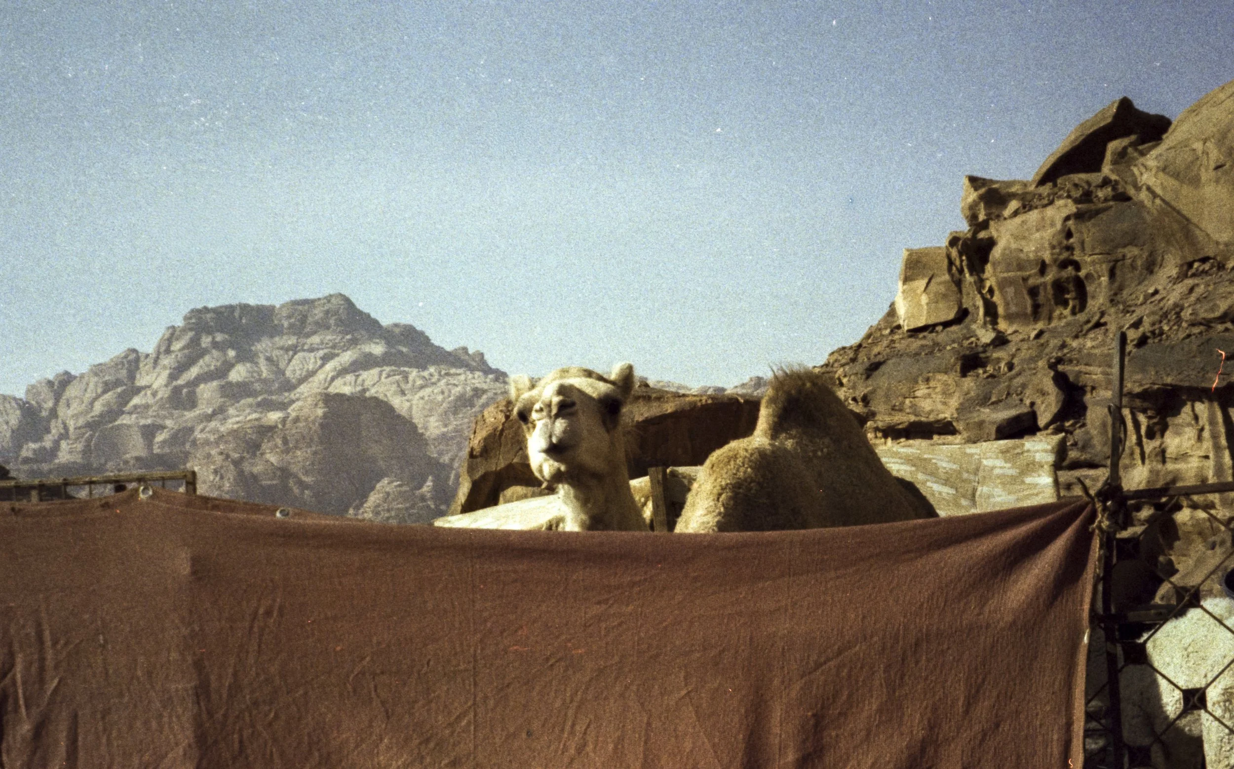 img20260116_16371272.jpg