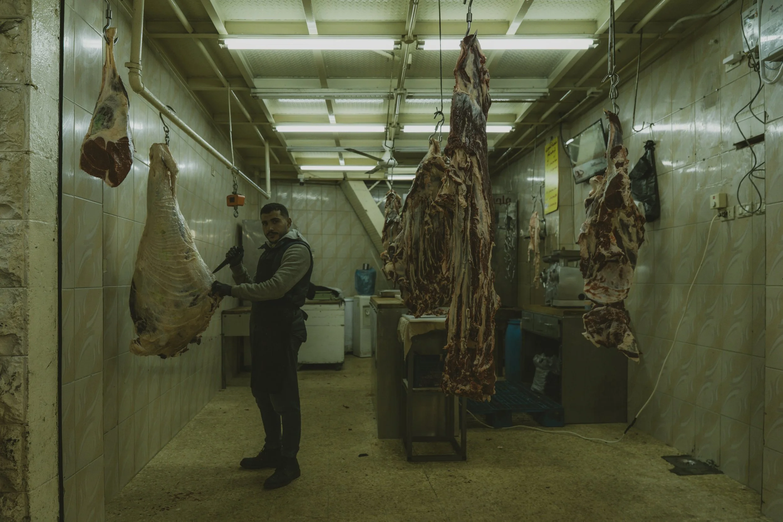 Jordan: from the city to the desert