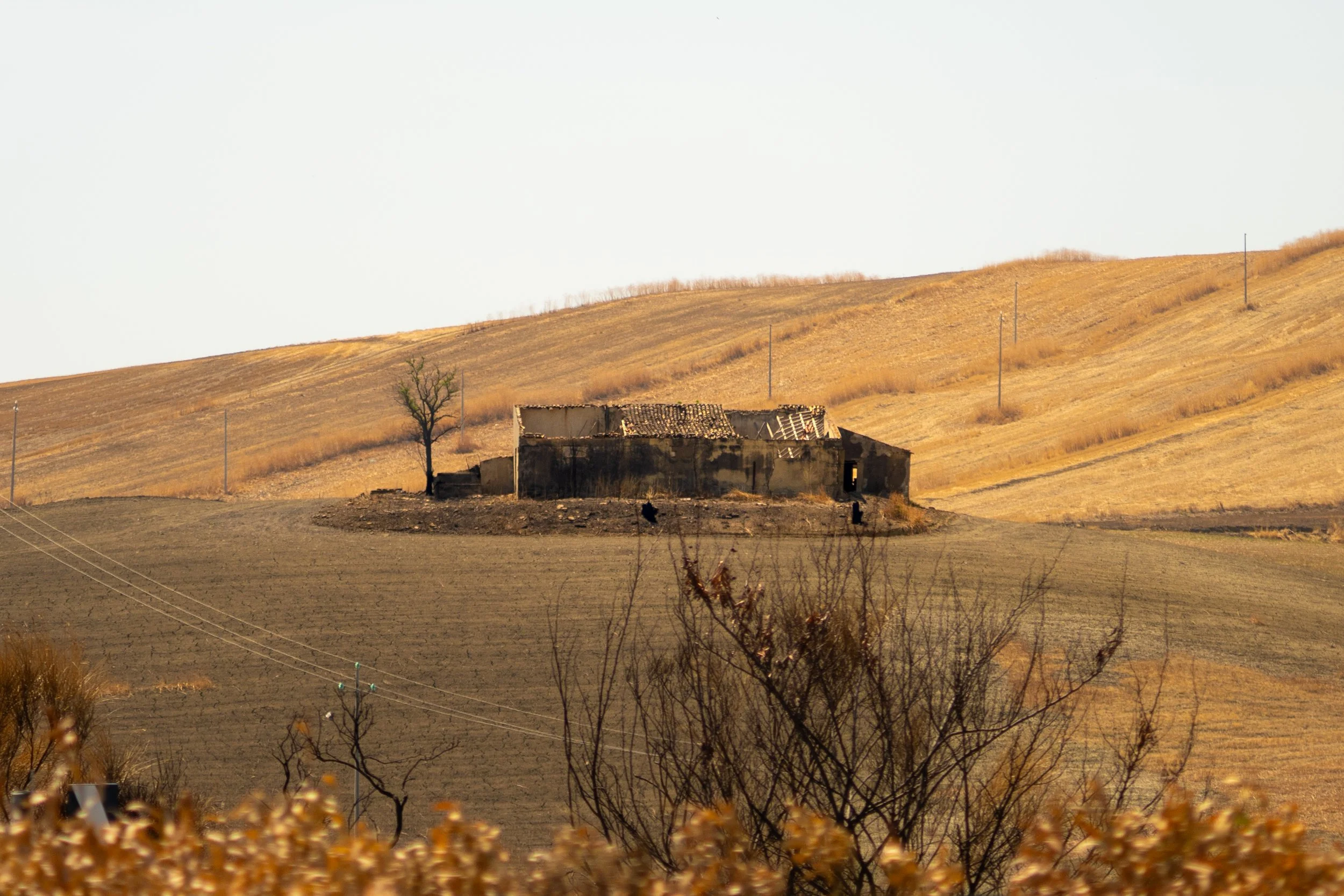 14082026-DSC08384.jpg