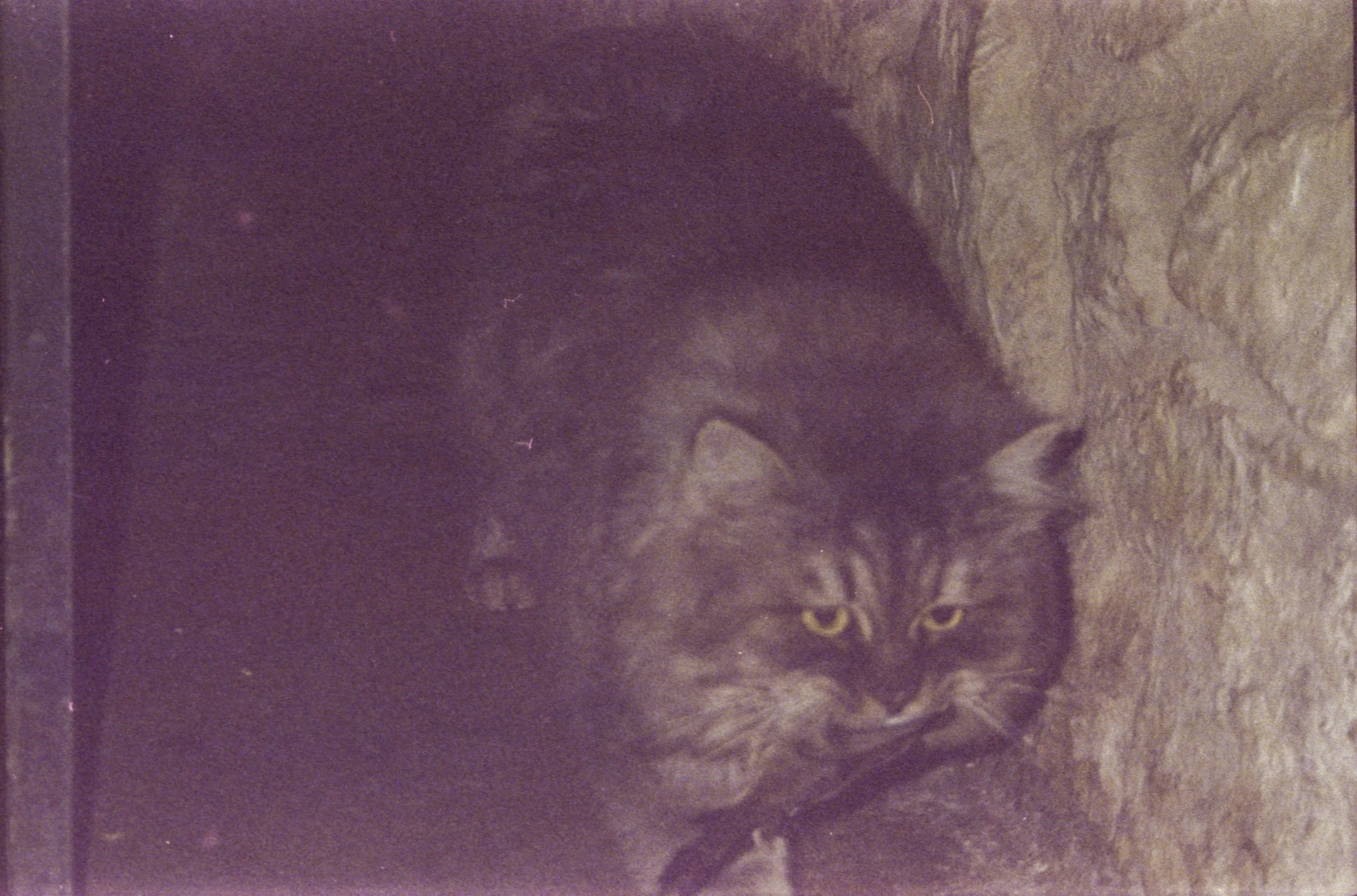 img20260116_16304493.jpg
