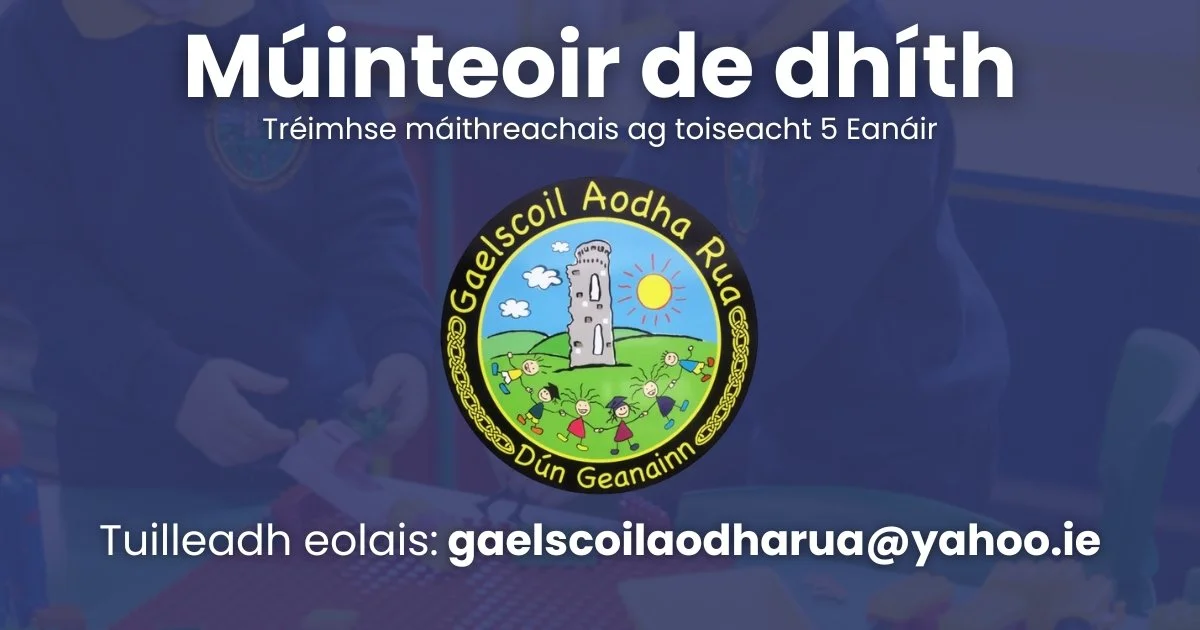 Gaelscoil Aodha Rua.jpg
