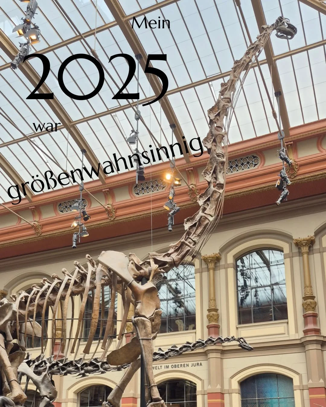 Hier ist mein winziger Bildr&uuml;ckblick von 2025.

Die besten Erinnerungen sind bekanntlich die, bei denen man vor lauter Gl&uuml;ck vergisst, Fotos zu machen :) Deswegen hier eher symbolhaft meine wilde Sammlung aus 2025.

Vielen Dank an alle, die