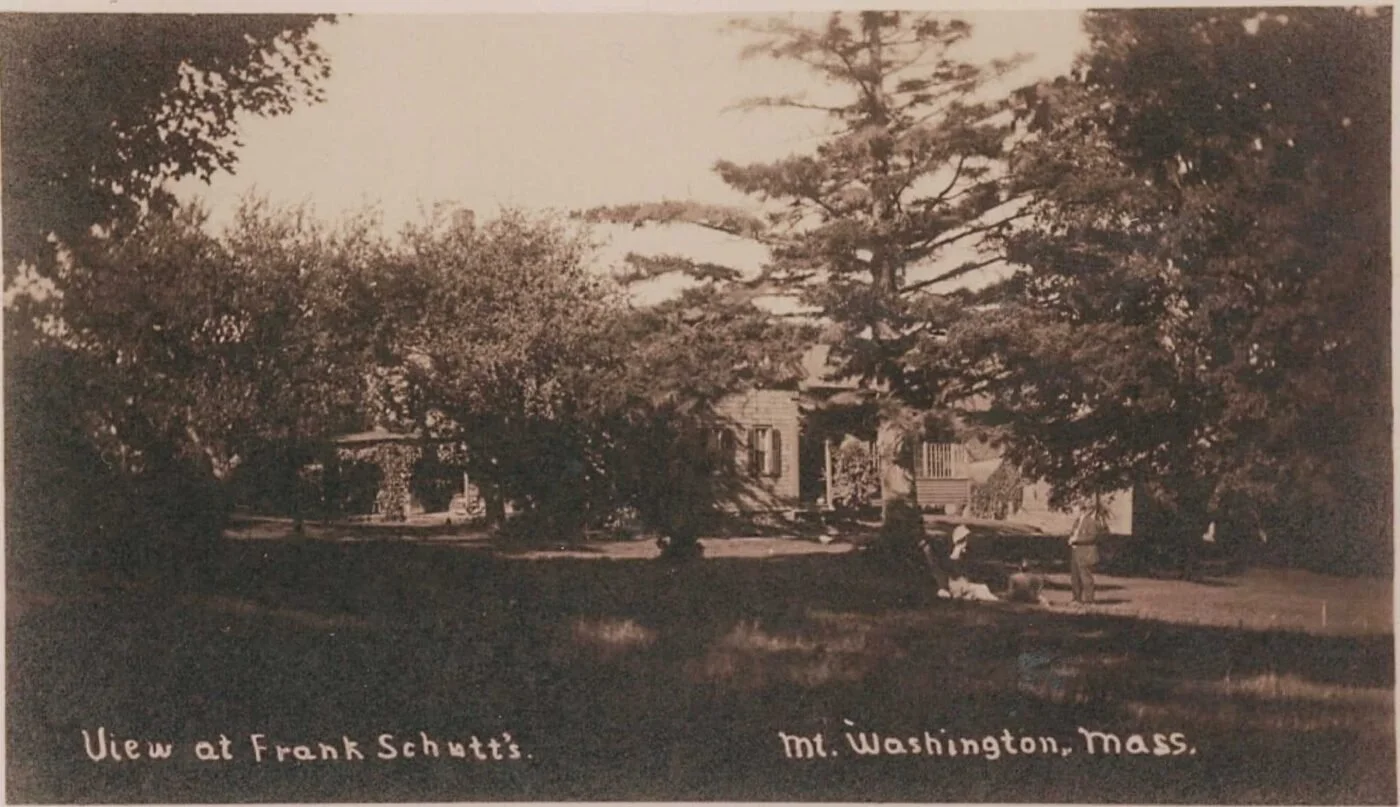 View at Frank Schutt's, Mt. Washington, MA - Postcard