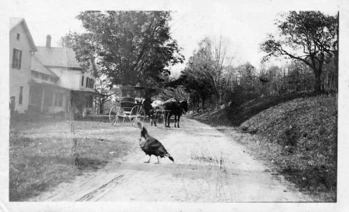 Turkey and Carriage in front of Pennyroyal Arms