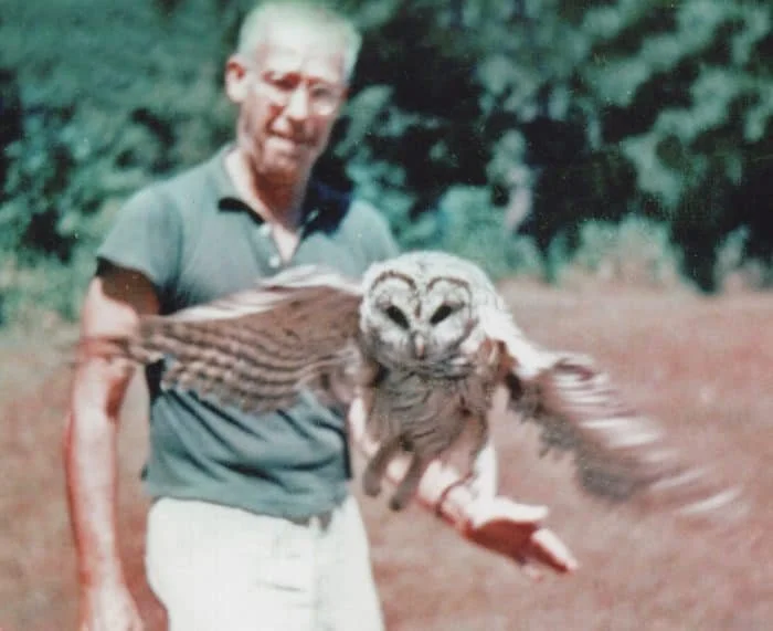Morgan Bulkeley, III With His Pet Barred Owl