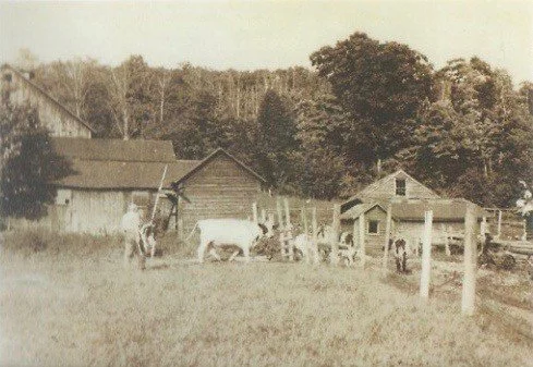 Dr. Alfred Isaac Spur