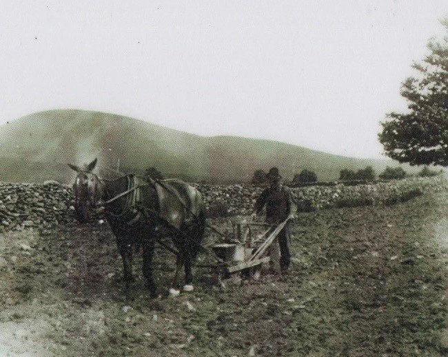 Plowing with Workhorse at Pennyroyal