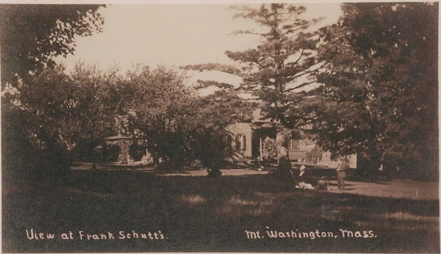 View from Frank Schutt's House