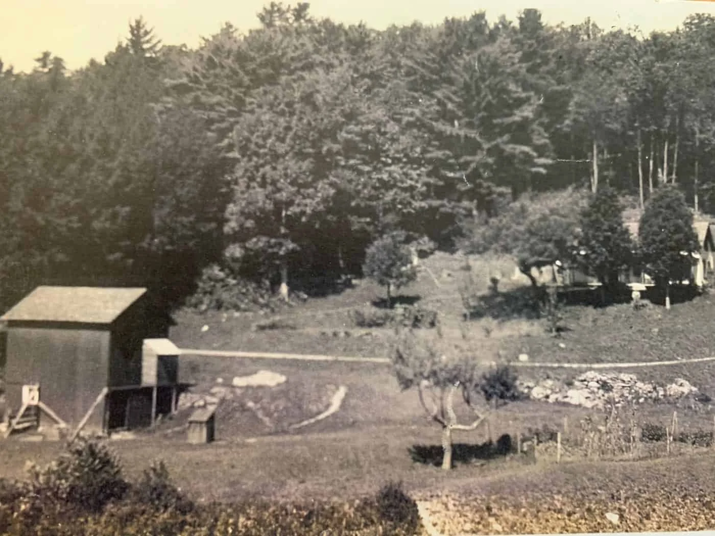 Aunt Em’s Little Farm on the Falls Rd