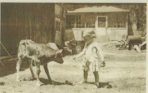 Farm at Pennyroyal , 1920's