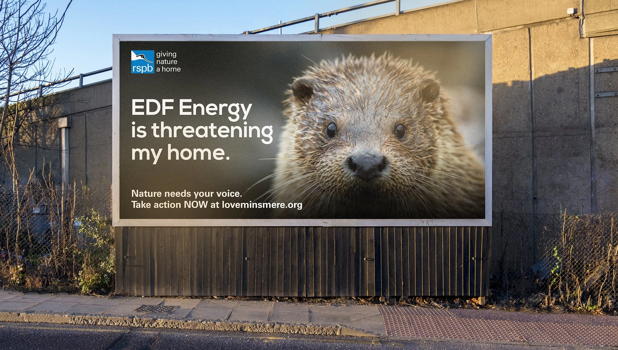Rspb Graphics RSPB — Special Design Studio | Graphic design, Norwich (UK)