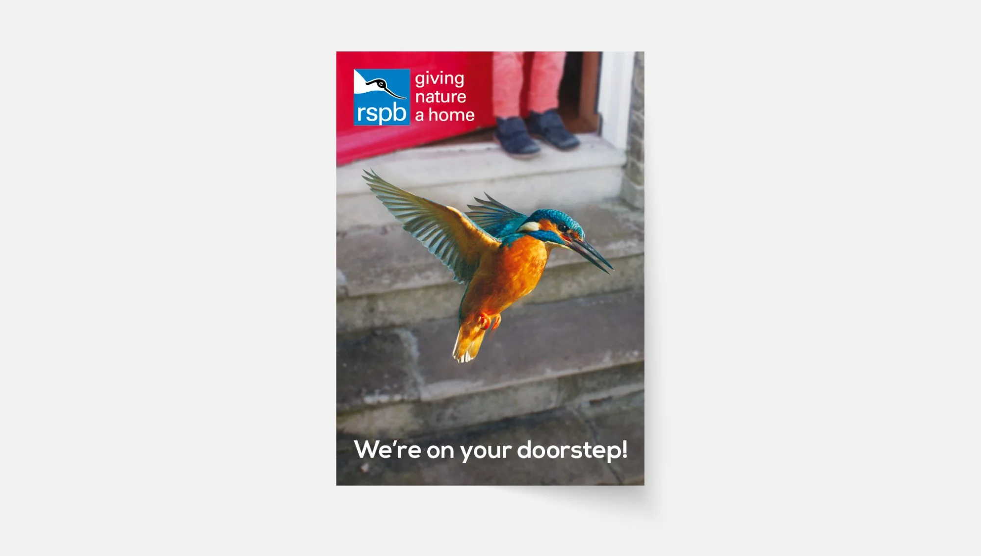 Rspb Graphics RSPB — Special Design Studio | Graphic design, Norwich (UK)