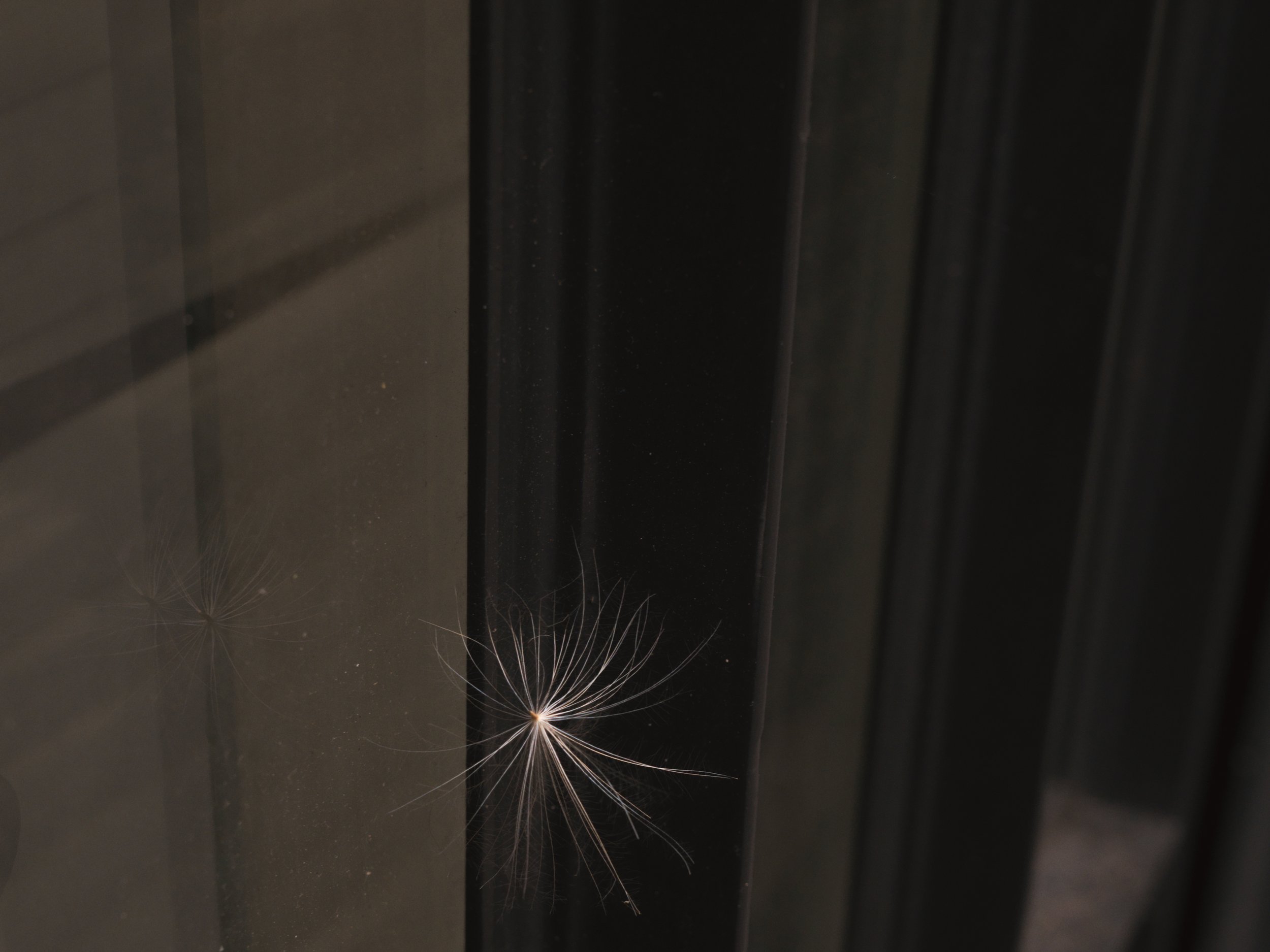 LIX2024001G03160-24.jpg