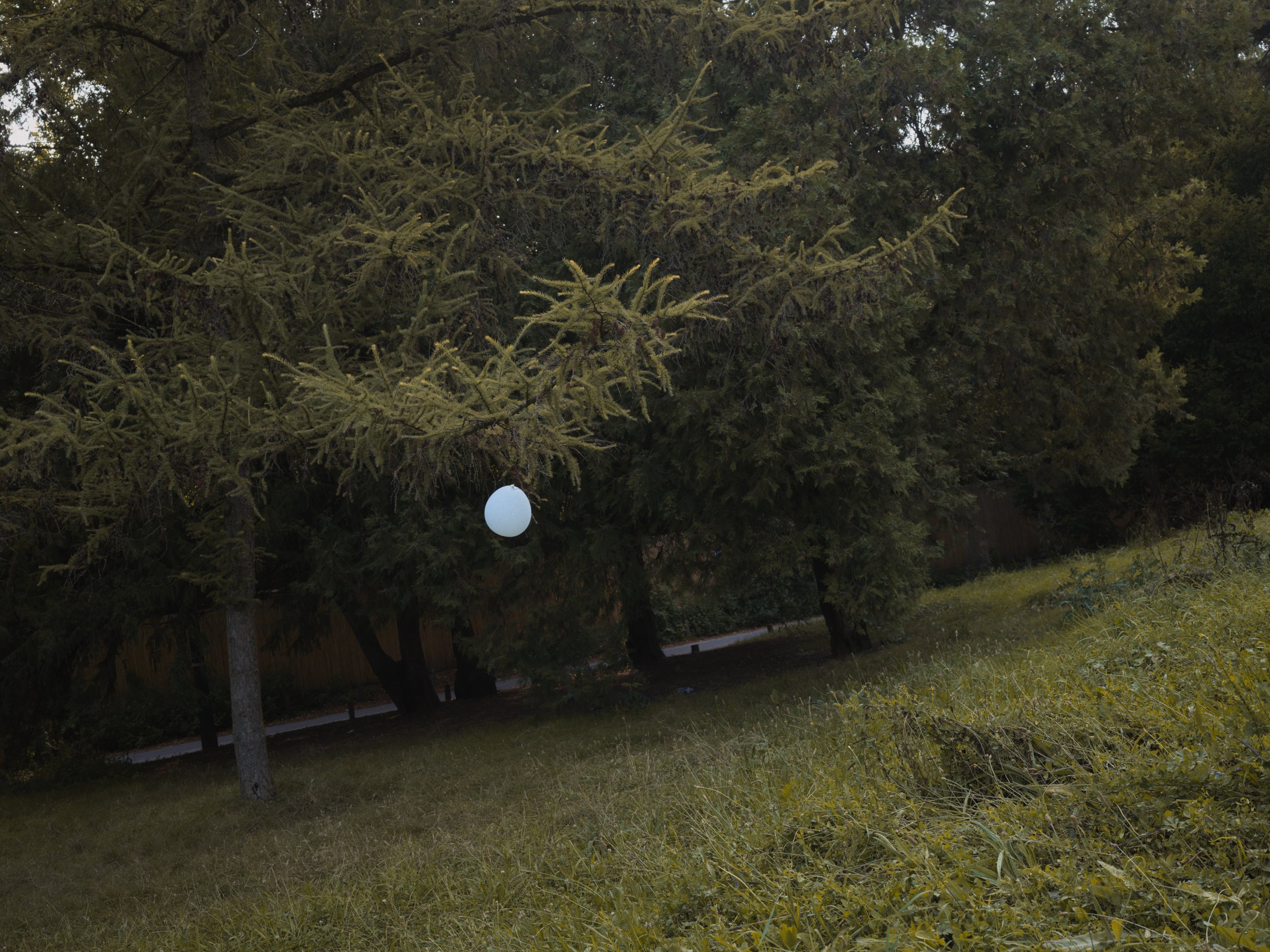 LIX2024001G0250-2.jpg