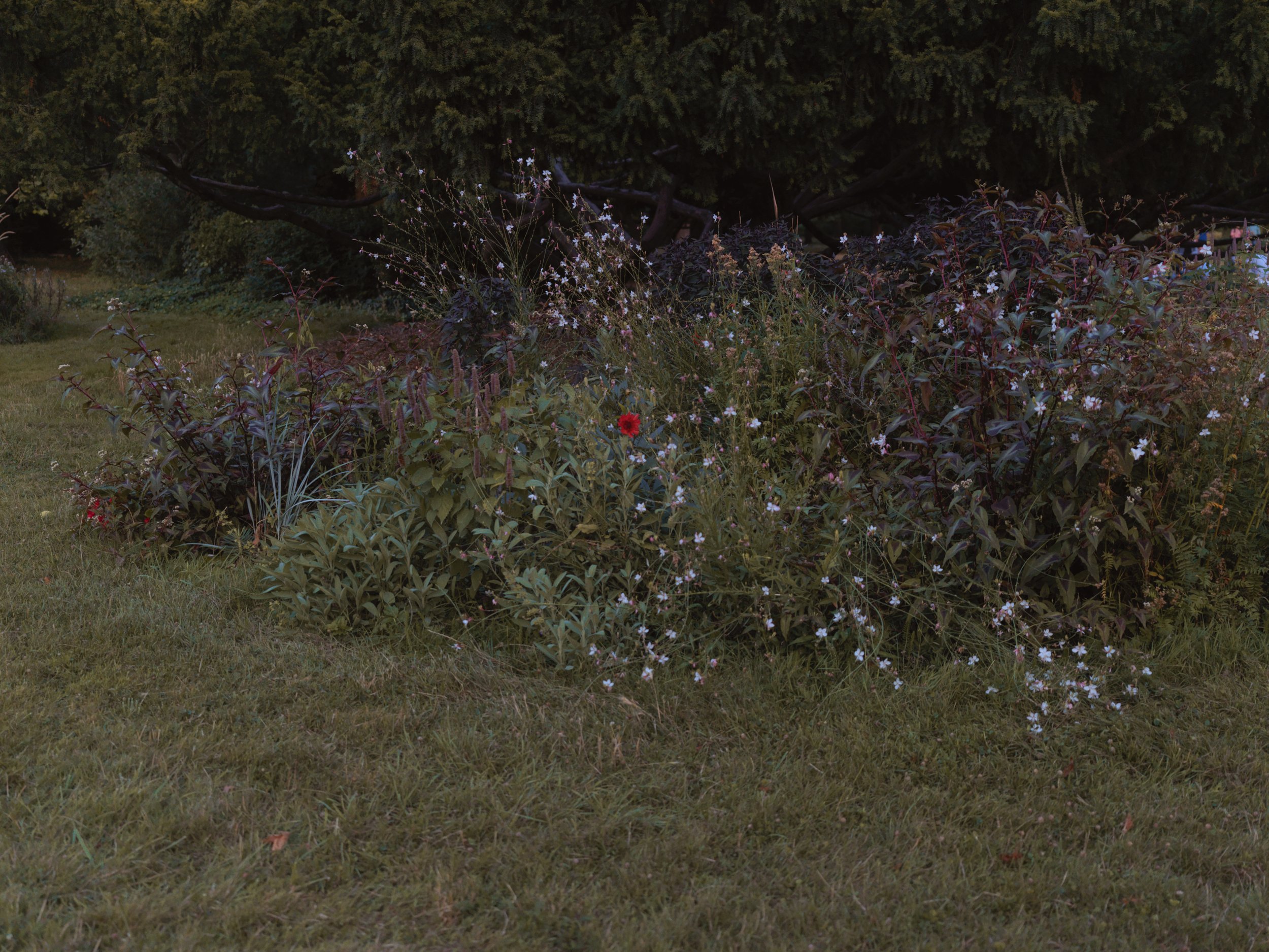 LIX2024001G0180-22.jpg